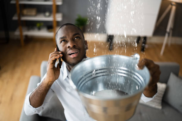 Best Water damage cleanup near me  in Kootenai, ID