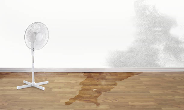 Best Fire Damage Restoration  in Kootenai, ID