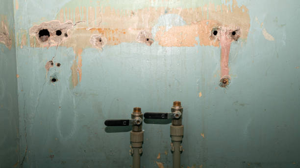 Best Flooded house restoration  in Kootenai, ID